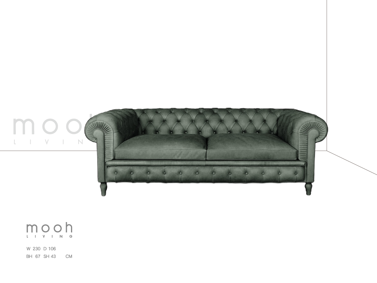 3rsf 223031 凱撒(3)