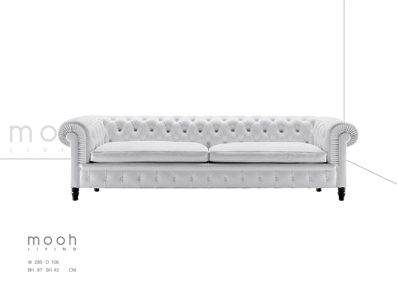 3rsf 223031 凱撒(4)